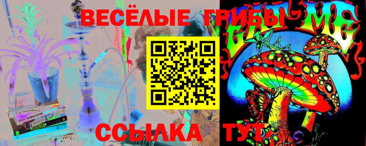 Галлюциногенные грибы GOLDEN TEACHER  Галлюциногенные грибы Magic Shrooms  Вход с VPN  Котельники 